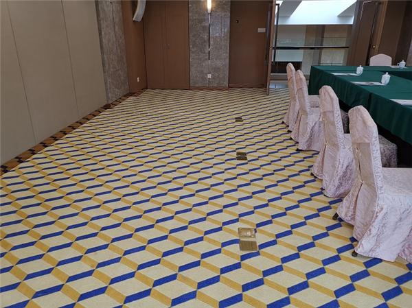 佛山枫丹白鹭酒店会议室地毯2