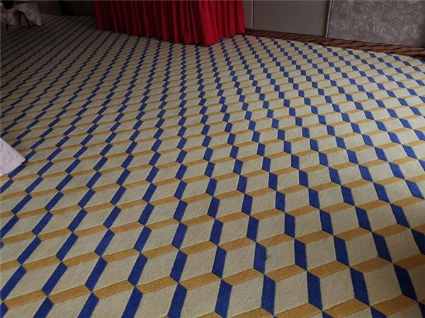 佛山枫丹白鹭酒店会议室地毯3